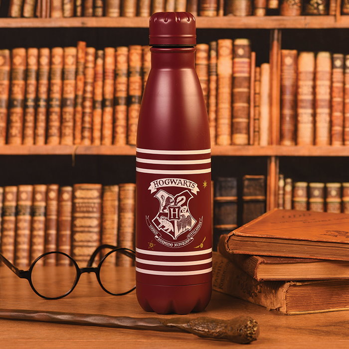 Láhev Harry Potter - Crest & Stripes